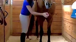 Multi Porn Videos 26